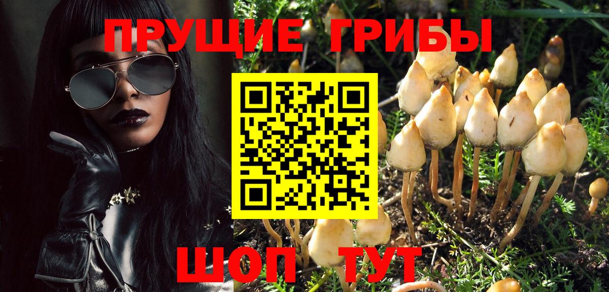 Александров  Галлюциногенные грибы GOLDEN TEACHER  Псилоцибиновые грибы мухоморы  Вход с VPN 